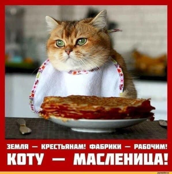 ИТ ГПП Мй _п7л1 МЕЛ Ш