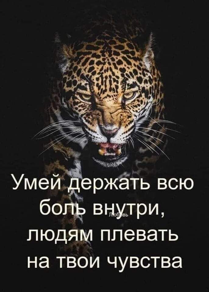 Умей бол вышри людям плевать на твои чувства