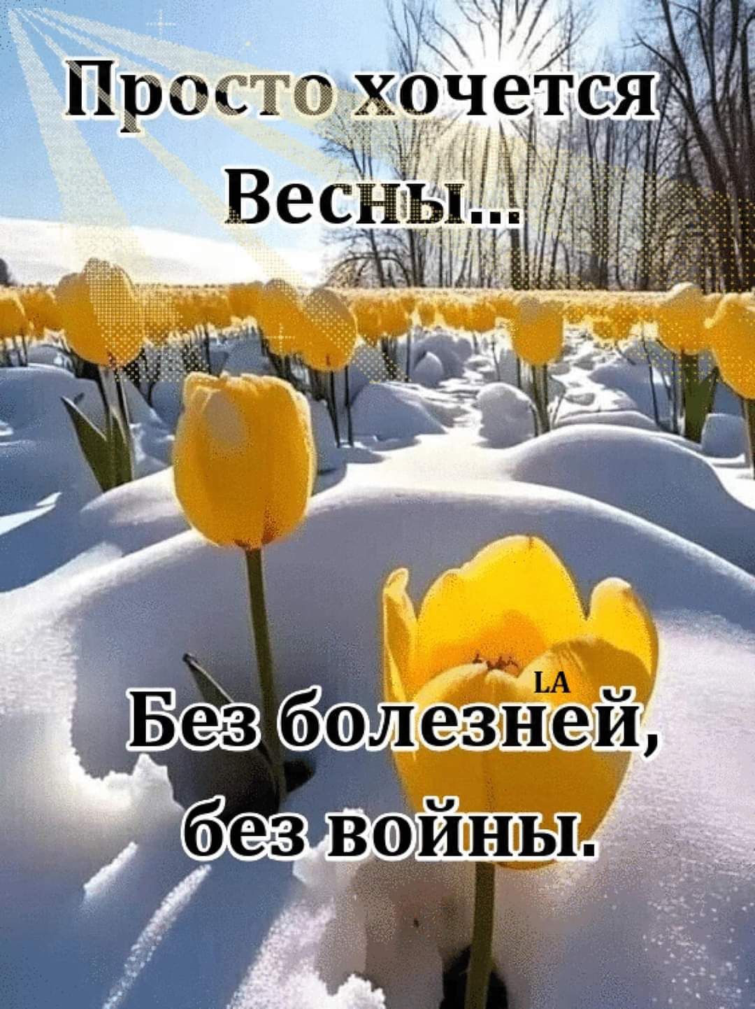 Просто хочет я