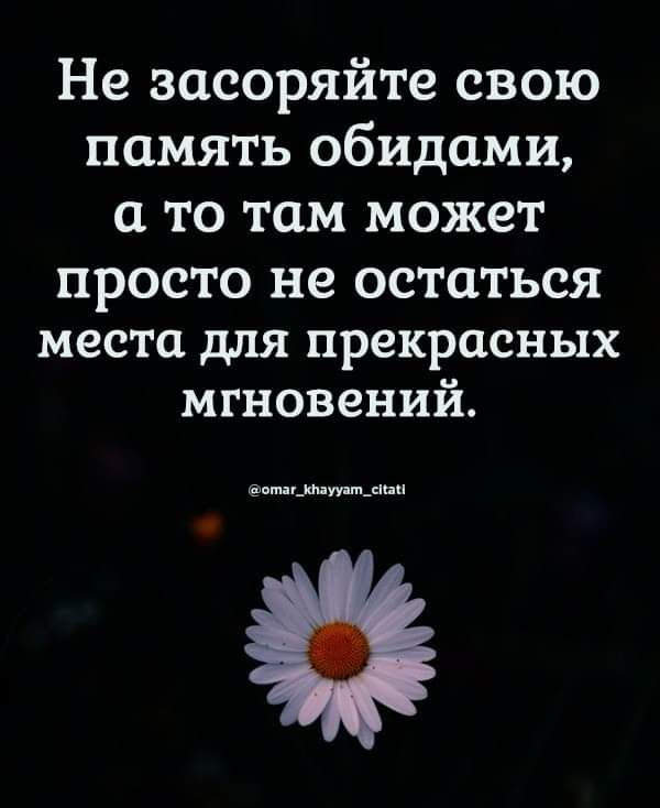Не засоряйте свою память обидами а то там может просто не остаться места для прекрасных мгновений щими