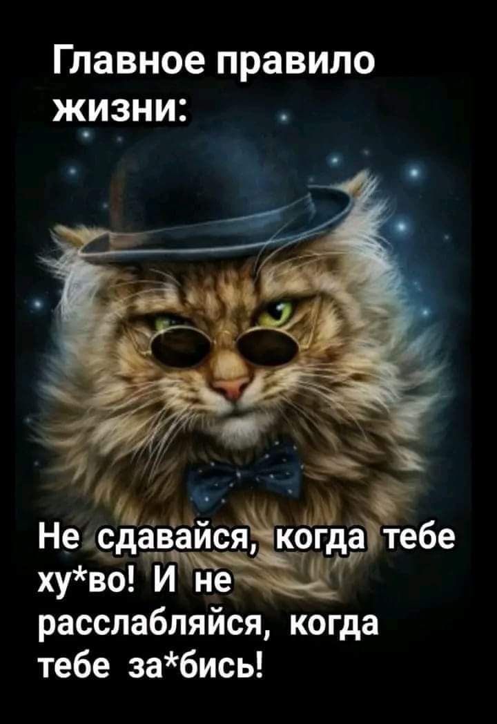Главное правило ЖИЗНИ Неюдаваися кдааітебе хуво И не расспабляйся когда тебе забись