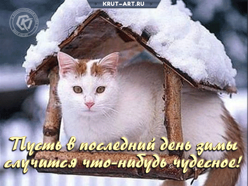киш Анди