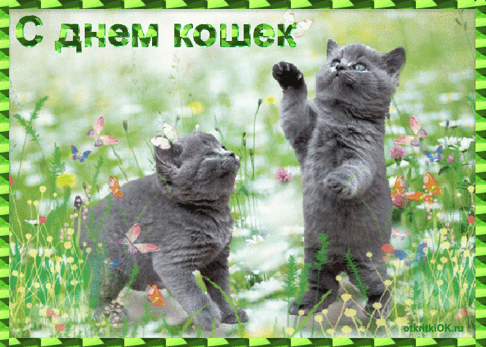 _ддддддщ даем каши 14411444444