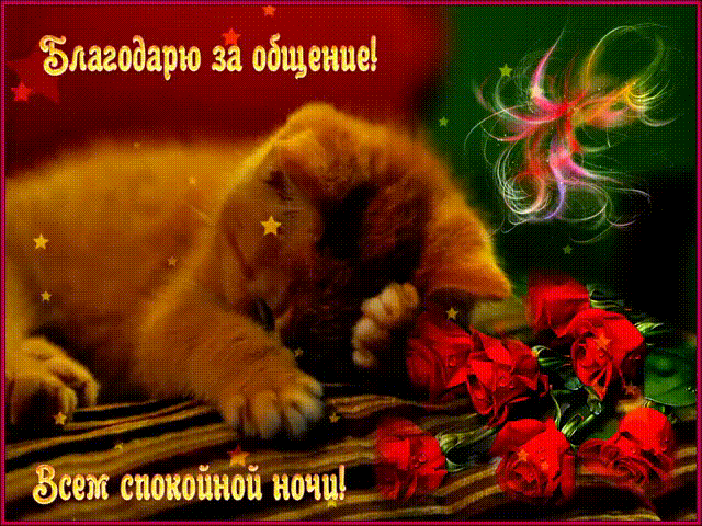 Благодарю за общение