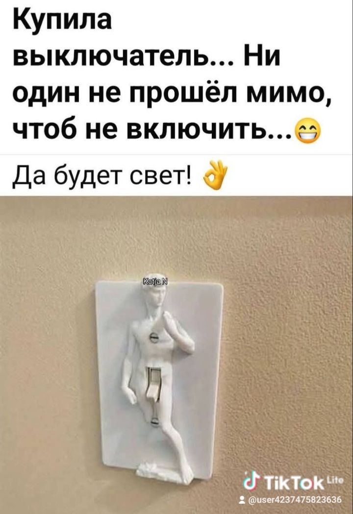 Купила выключатель... Ни один не прошёл мимо, чтобы не включить... Да будет свет!