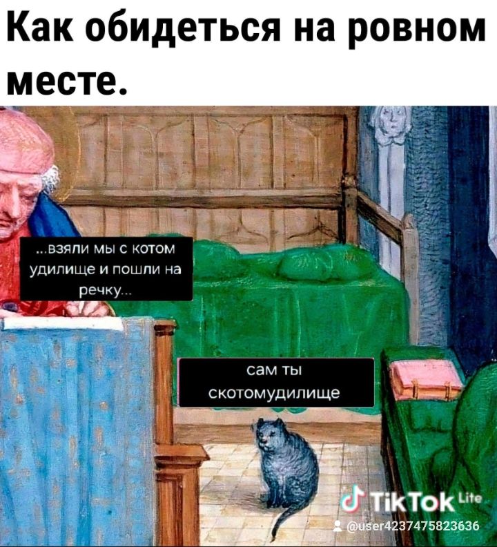 Как обидеться на ровном месте. …взяли мы с котом удилище и пошли на речку… сам ты скотомудище