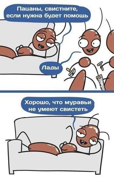 Пацаны свистните если нужна будет помощь Хорошо что муравьи не умеют свистеть