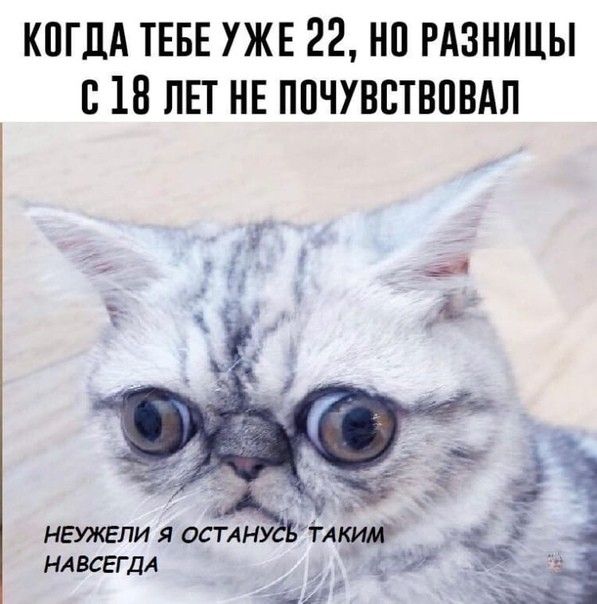 КПГДА ТЕБЕ УЖЕ 22 НП РАЗНИЦЫ В 18 ЛЕТ НЕ ППЧУВСТВПВАП нежели я остлну Акиж нлвсггдл г и вд