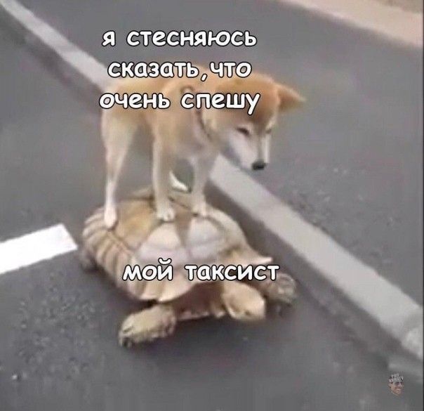 Я СТССНЯЮСЬ