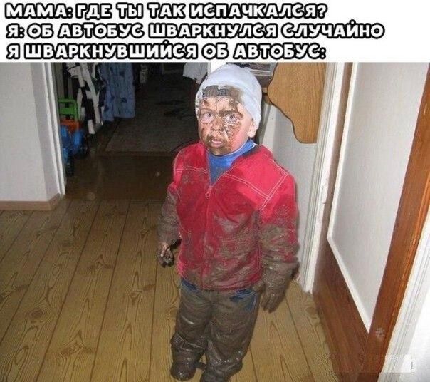 тшщ ш двтовус швдркнувшиися АВТОБУ