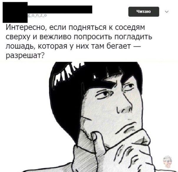 ИНТЭРЕСНО ЕСЛИ ПОДНЯТЬСЯ К СОСЕДЯМ СВЕРХУ И ВЕЖПИВО ПОПРОСИТЬ ПОГЛЭДИТЬ лошадь которая у них там бегает разрешат