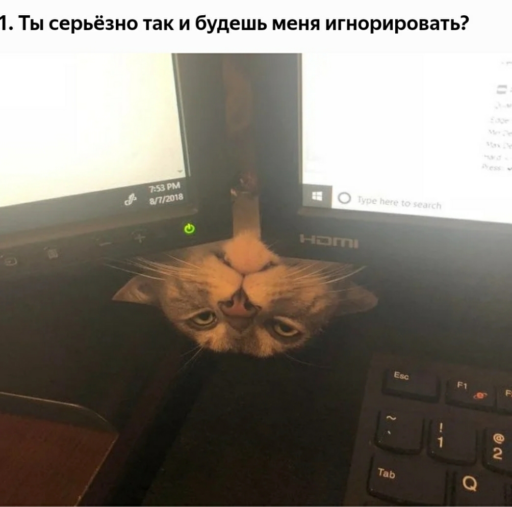 Ты серьёзно так и будешь меня игнорировать