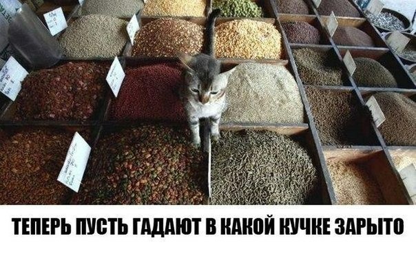 ТЕПЕРЬ ШВТЬ гдддют В НАНВЙ ШЩНЕ ЗМЬПП