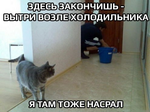 ОЖЕ НАС РАП