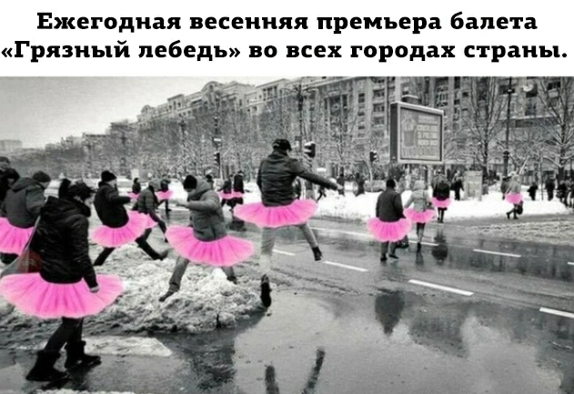 Ежегодная весенняя премьера балета Грязный лебедь во всех городах страны