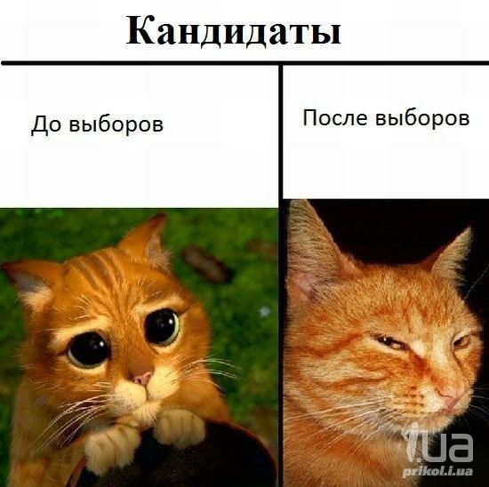 Кандидаты До выборов После выборов