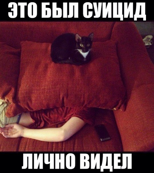 ЗП БЫЛ суицид