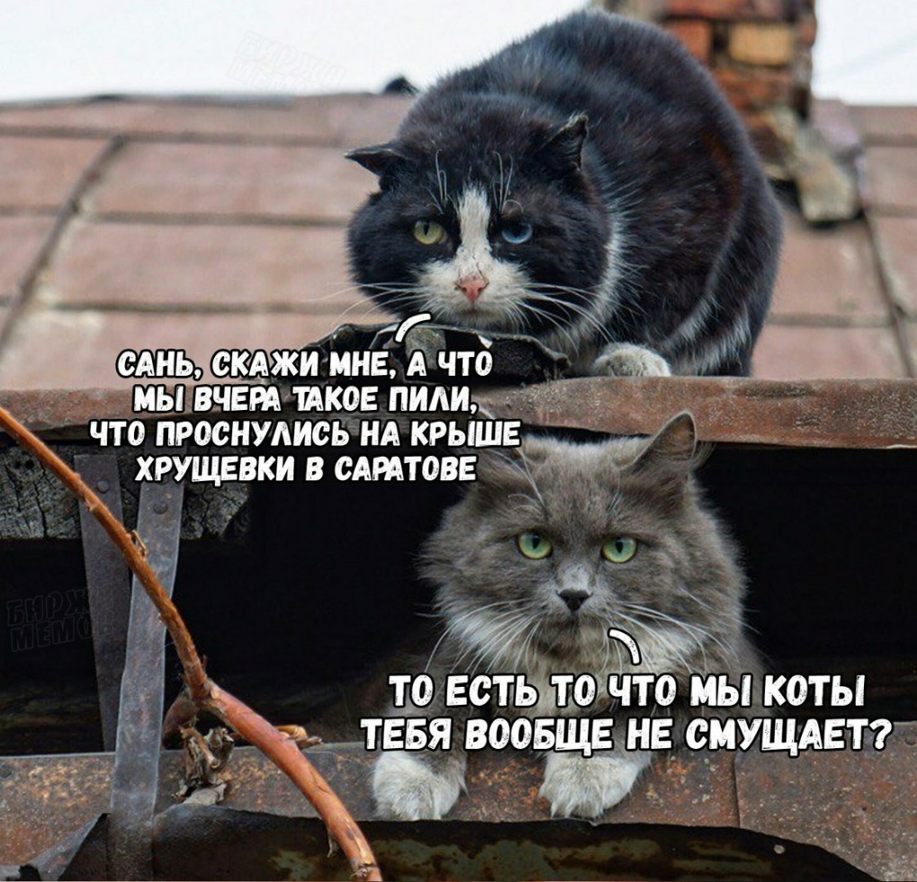 __ скджимнЕ Ачто ЬЦЧЕРАШКОЕ пилиеше что проснулисьнд крыше _ дг Уд г шівстьжо что йы коты акция воовще н смущдвтгі г г _ _ _ А