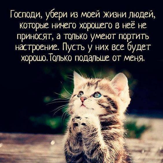 Господи убери из моей жизни людей которые ничего хорошего в неё не приносят только умеют портить настроение Пусть у них все будет хорошоТолько подальше от меня