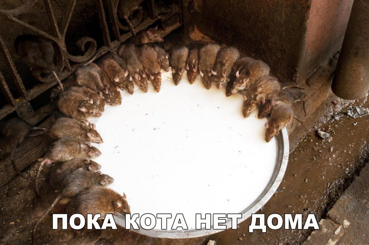 ПОКАЁКМЕЮ вт