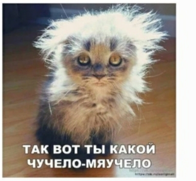 тдк вот ты КАКОЙ чучеломяу 10