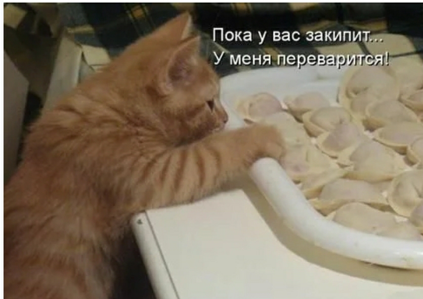 Пока у вас закип