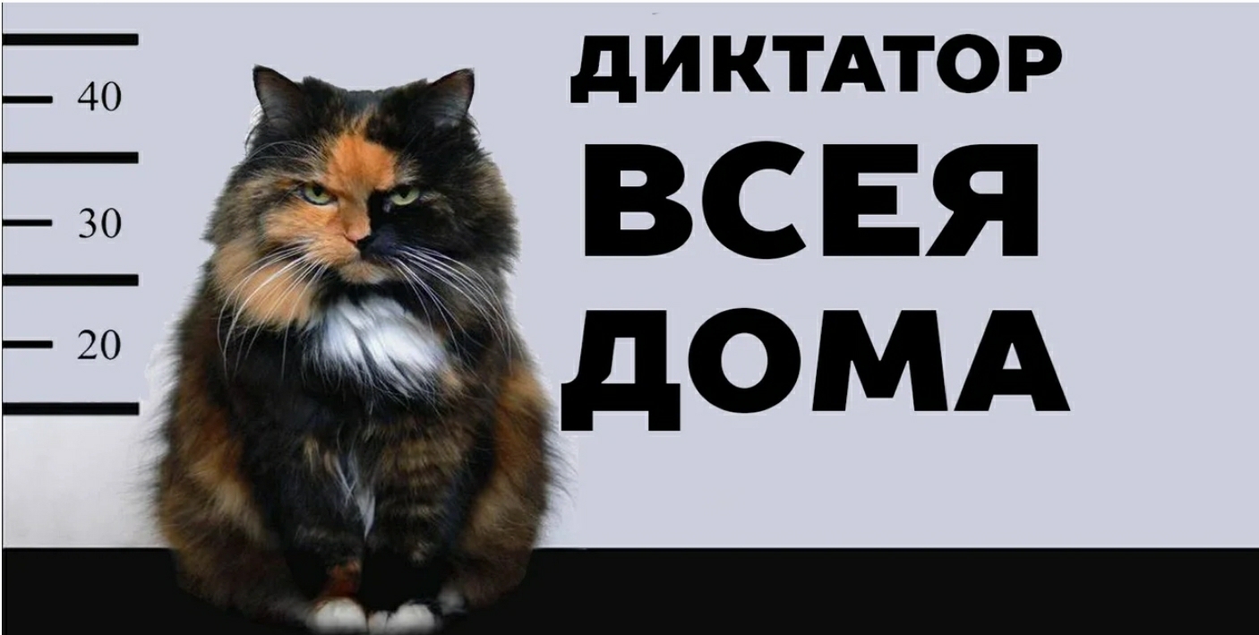 _ ди КТАТО Р _ 40 дОМА