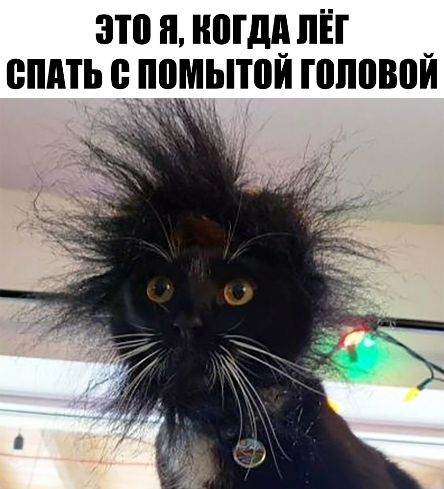 это я ногдд пЁг _ спдть прмытои головои