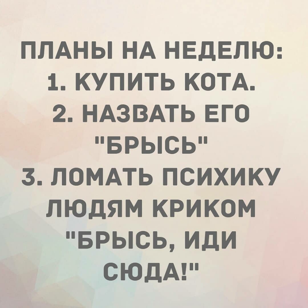 ПЛАНЫ НА НЕДЕЛЮ 1 КУПИТЬ КОТА 2 НАЗВАТЬ ЕГО БРЫСЬ 3 ЛОМАТЬ ПСИХИКУ ЛЮДЯМ КРИКОМ БРЫСЬ ИДИ СЮДА