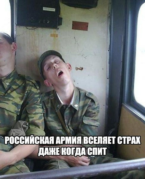 РСССИИСИИИ ИРМИИ ВСШИЕТ СТРИИ дШИЕИСГдИСПИТ дут
