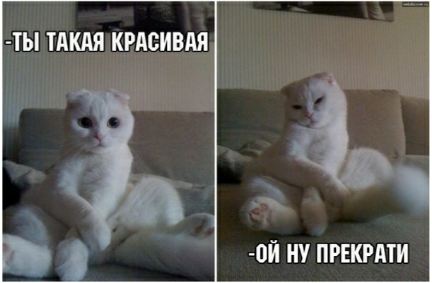 ТЬ ТАКАЯ КРАСИВАЯ 0Й НУ ПРЕКРАТИ
