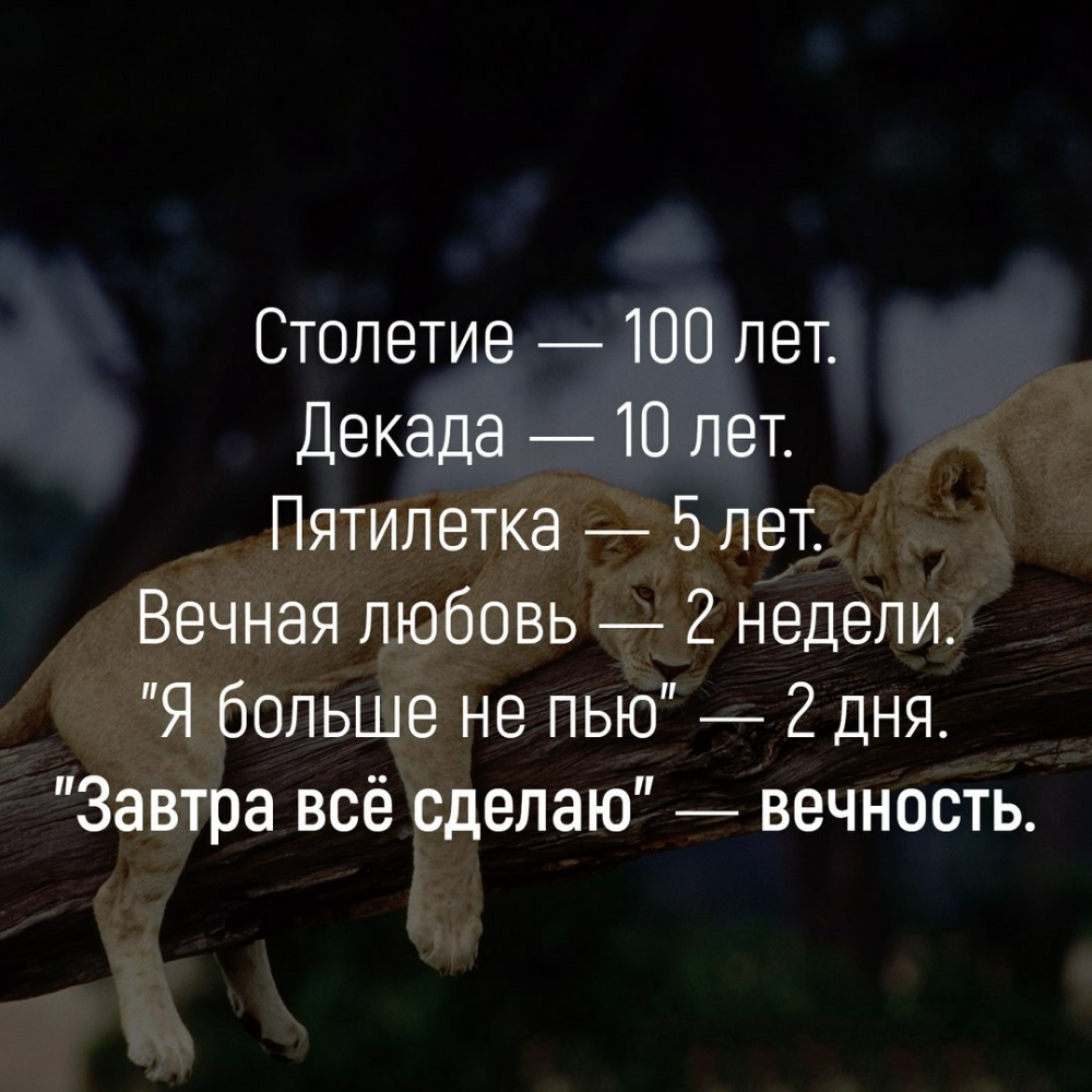 Столетие 100 лет Декада 10 лет Пятилетка 5лет Вечная любовь 2 недели Я больше не пью 2 дня Завтра всё сделаю вечность