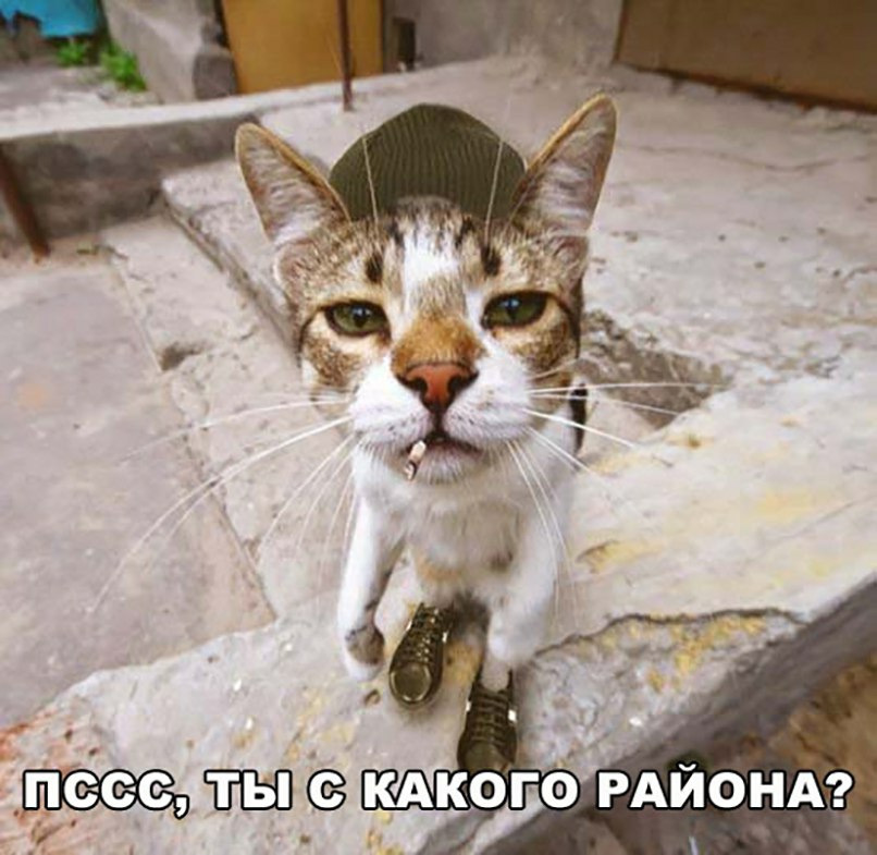 КАкого РАЙОНА _ _