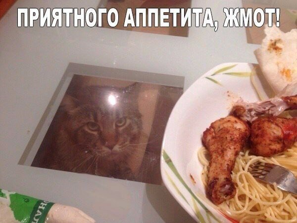 Годыпвти М Щ