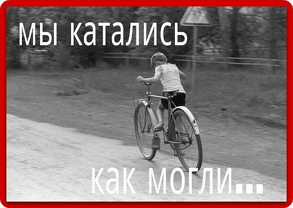 МБі каталидсЁЭ _