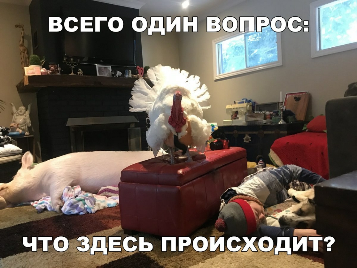 всего один в