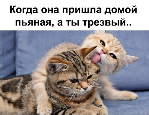 Когда она пришла домой пьяная а ты трезвый