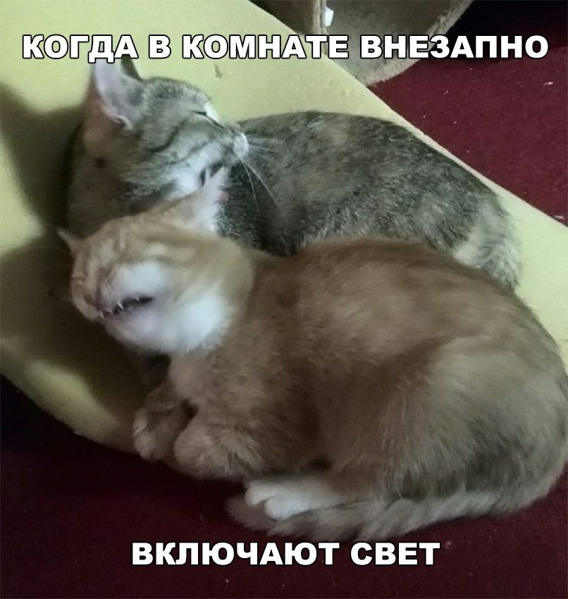 ВКПЮЧАЮТ СВЕТ