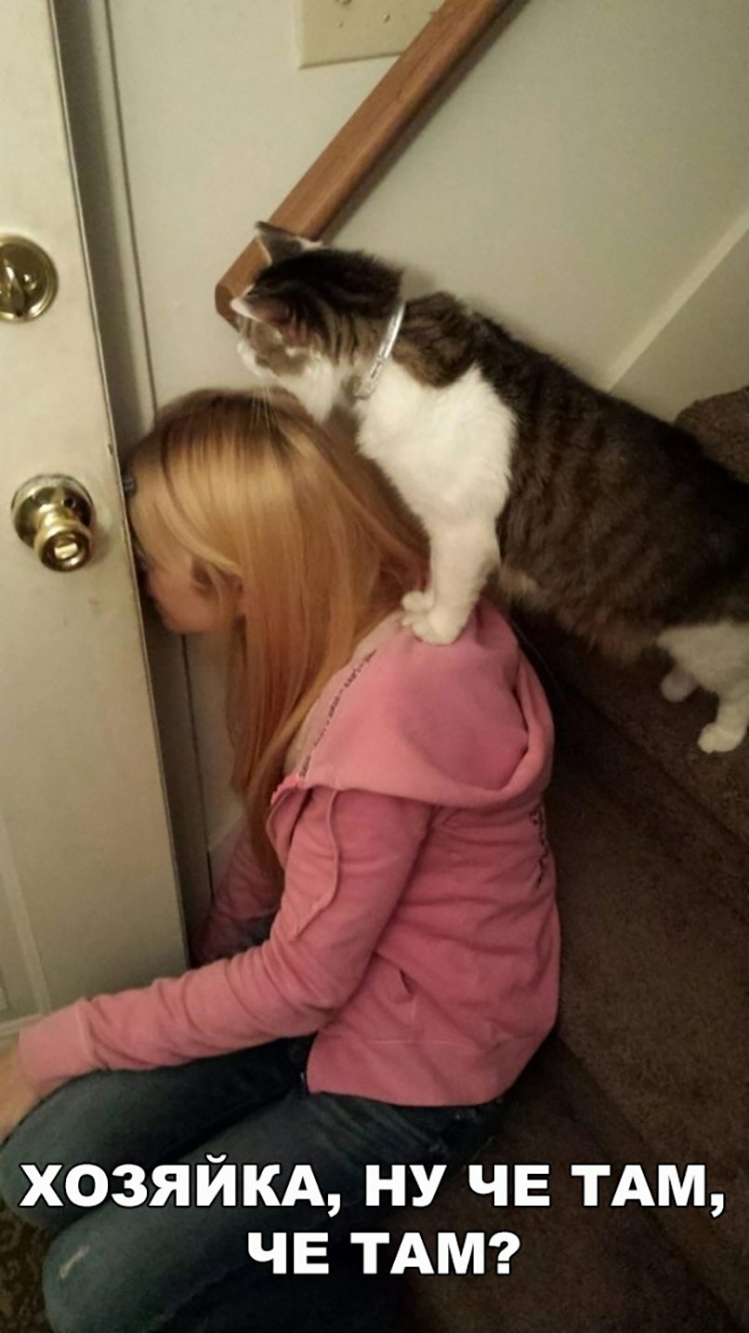 хозяйкд ну че тдм чв ТАМ