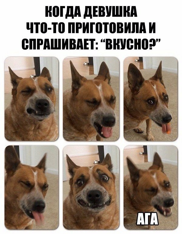 НШДА дЕВУШНА ЧЮ ТП ПРИШТПВИЛА И ВПРАШИВАЕТ ВШЮНВ