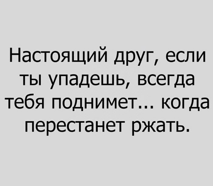 Настоящий ДРУГ если ты упадешь всегда тебя поднимет когда перестанет ржать
