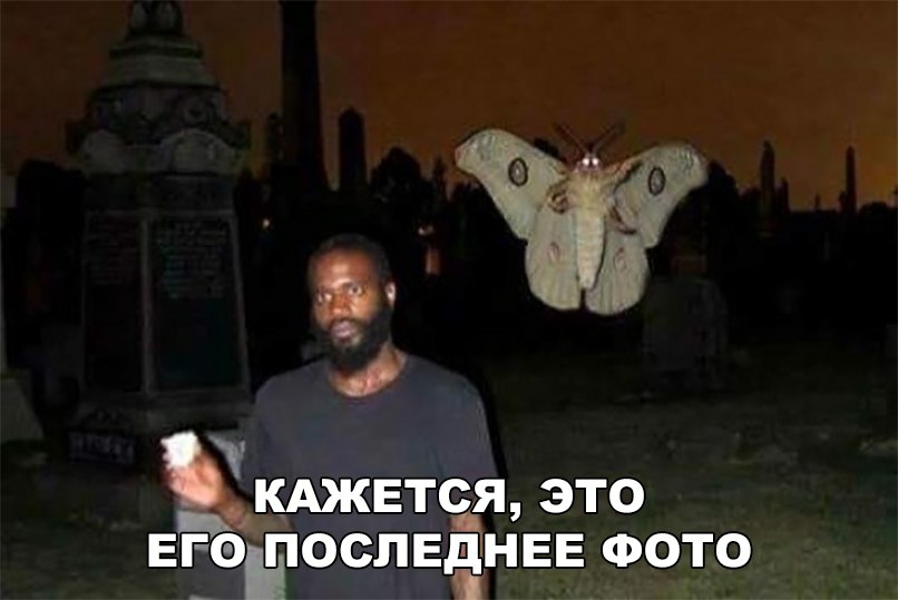 кджнся это вгэнпоспвёнве ФОТО