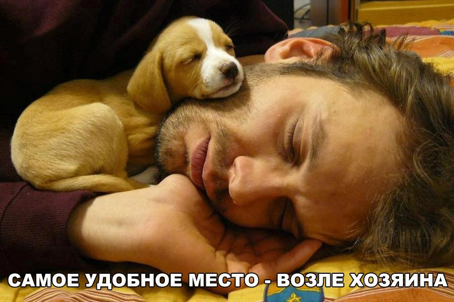 вини Ё