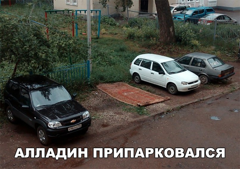 Алпддин пвигіАгковдлся