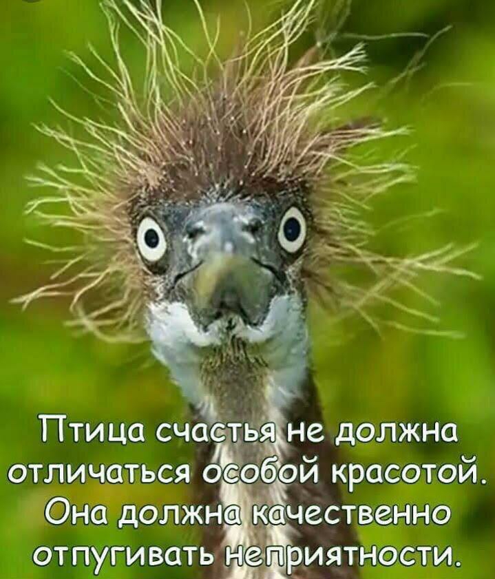 9лжна стои метит рдият ои крае очест не д Нёёлжн от пушг чЬСЯ ОТЛИЧЁкТ