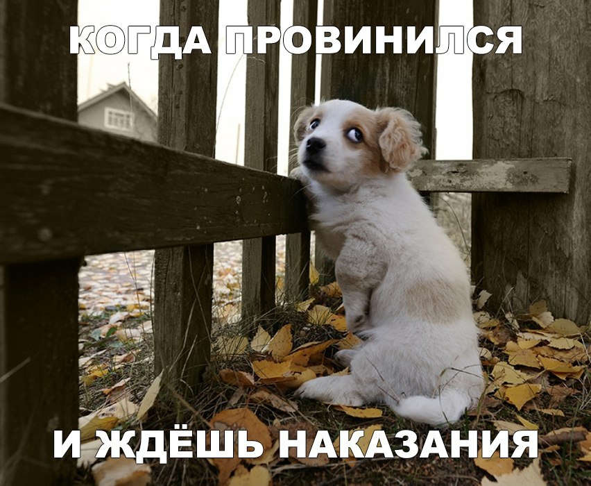 идждЁшь НАКАЗАНЁ _