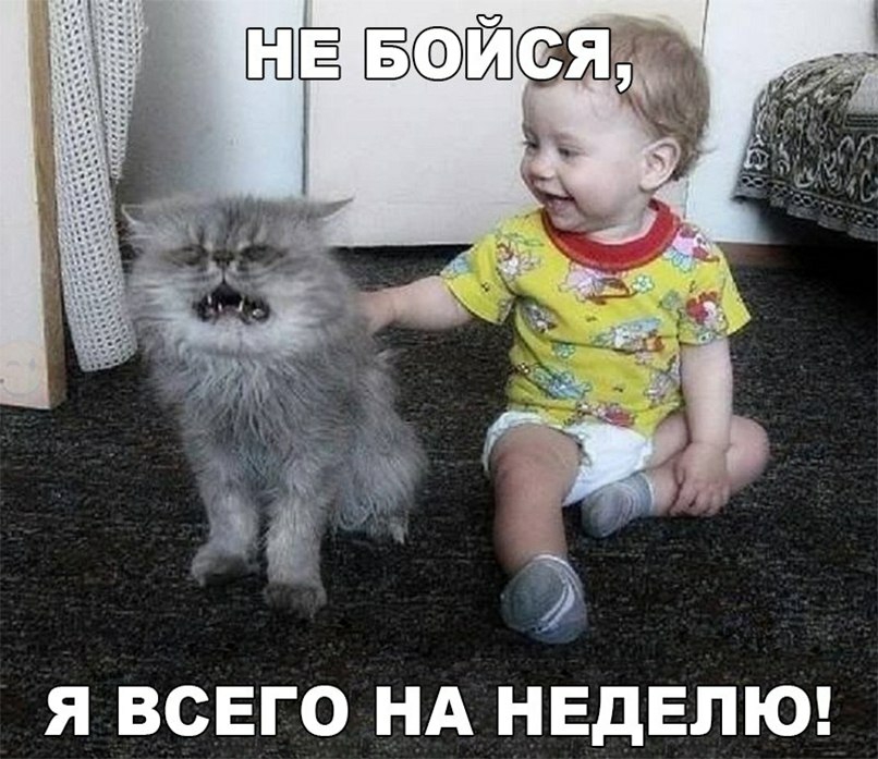 Я ВСЕГО НА НЕДЕЛЮ