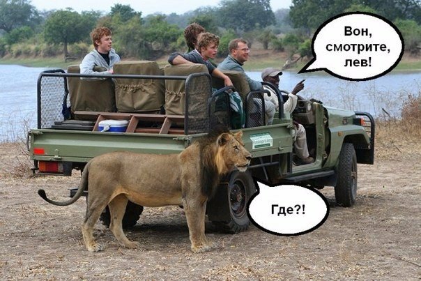 Вон смотрите