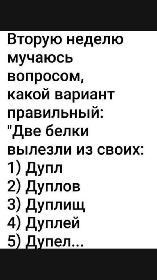 Вторую неделю мучаюсь вопросом какой вариант правильный Две белки вылезли из своих 1 Дупл 2 Дуплов 3 дУППИЩ 4 Дуплей 5 пел