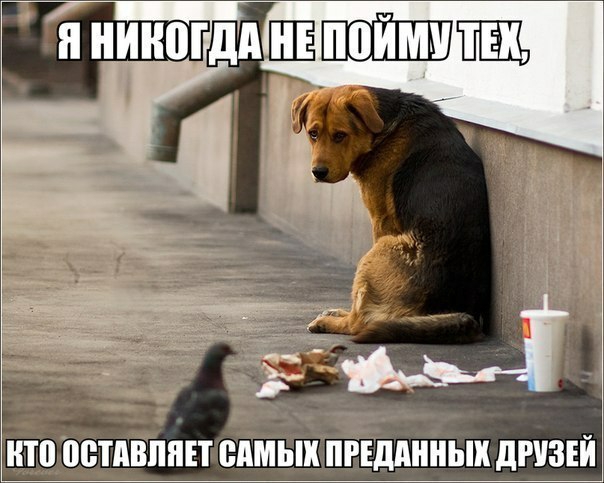 НТП ПВТДВППЕТ САМЫХ ПРЕДМШЬШ дРЧЗЕЙ